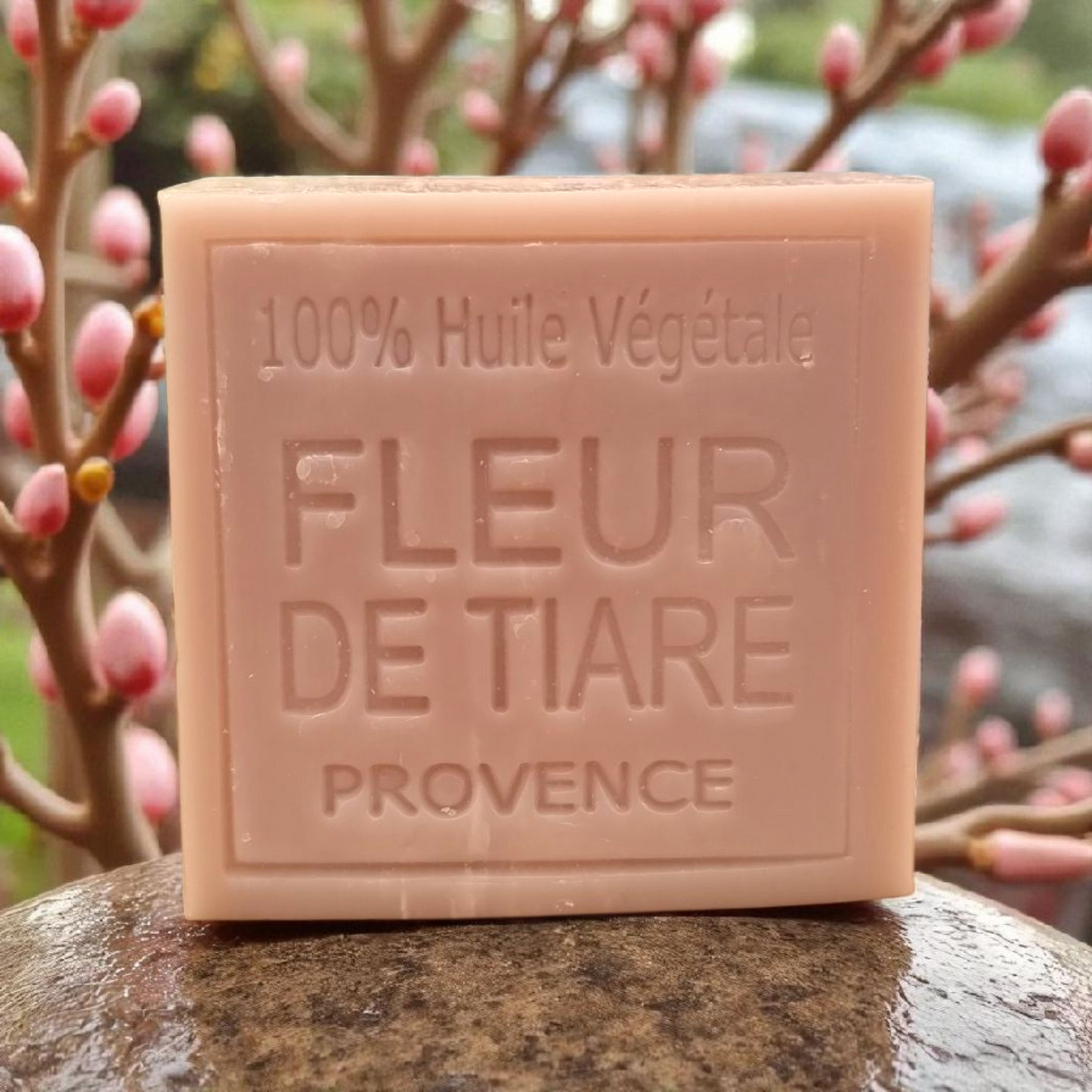 🧼 Savon Corps Naturel